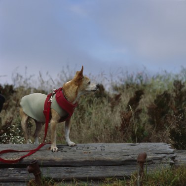 9513122595_9a7b43ba87_z