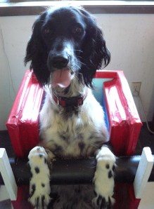 Deagan in his Bailey chair