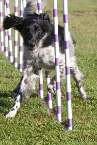 Gilkison_060813_IMG_7192